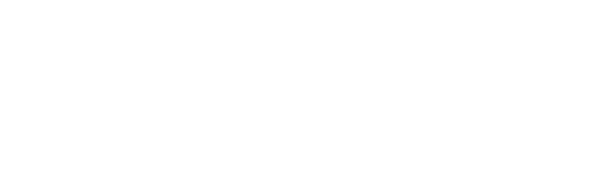 logo web